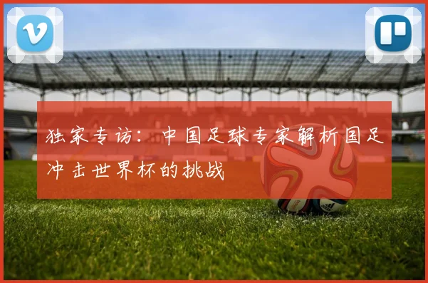 独家专访：中国足球专家解析国足冲击世界杯的挑战