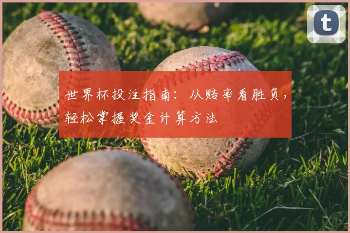 世界杯投注指南:从赔率看胜负,轻松掌握奖金计算方法