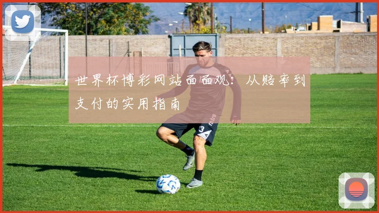 世界杯博彩网站面面观:从赔率到支付的实用指南