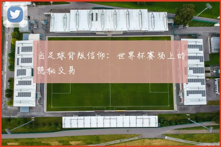 当足球背叛信仰：世界杯赛场上的隐秘交易