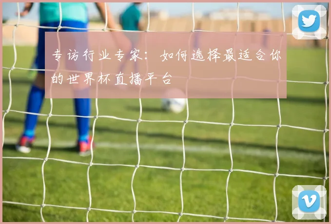 专访行业专家:如何选择最适合你的世界杯直播平台