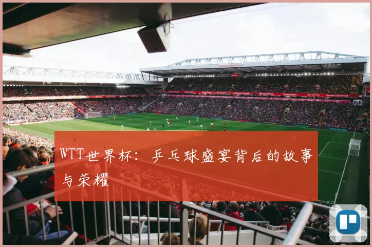 WTT世界杯：乒乓球盛宴背后的故事与荣耀