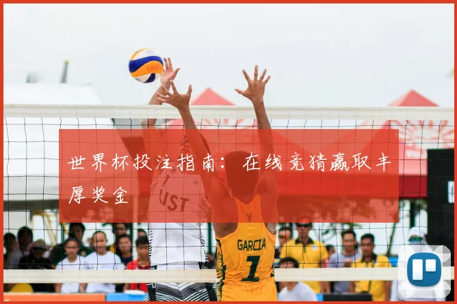 世界杯投注指南:在线竞猜赢取丰厚奖金