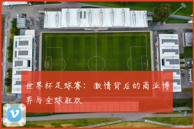 世界杯足球赛：激情背后的商业博弈与全球狂欢