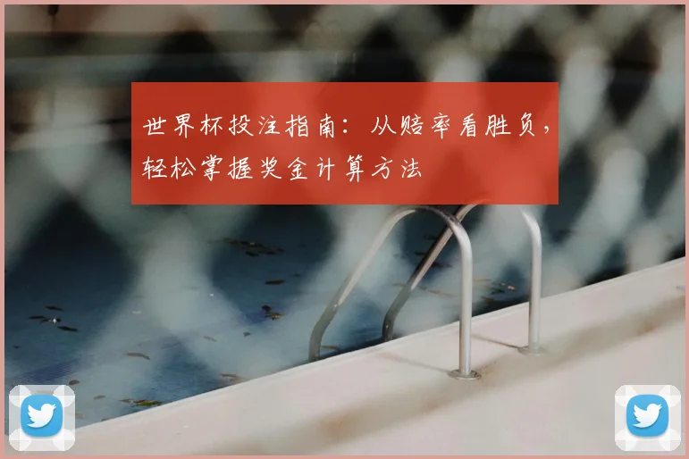 世界杯投注指南:从赔率看胜负,轻松掌握奖金计算方法