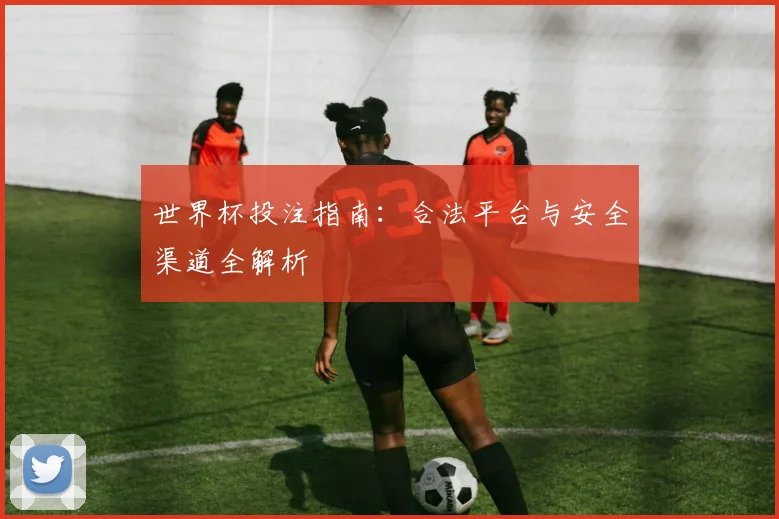 世界杯投注指南：合法平台与安全渠道全解析