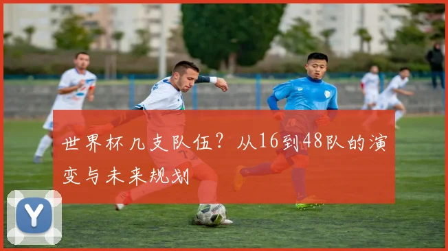 世界杯几支队伍?从16到48队的演变与未来规划