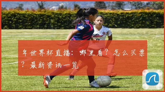 年世界杯直播：哪里看？怎么买票？最新资讯一览