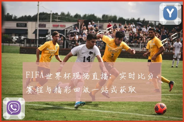 FIFA世界杯现场直播:实时比分、赛程与精彩回放一站式获取