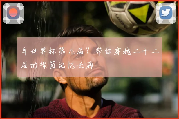 年世界杯第几届？带你穿越二十二届的绿茵记忆长廊