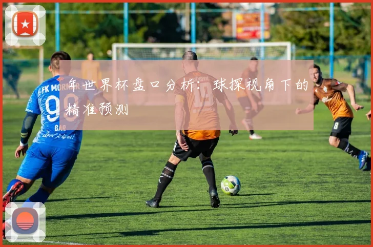 年世界杯盘口分析：球探视角下的精准预测