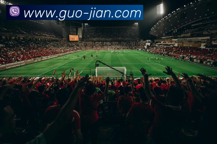 mksports最新比分平台生态图